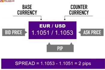 Spread là gì trong Forex và tầm quan trọng của nó như thế nào?