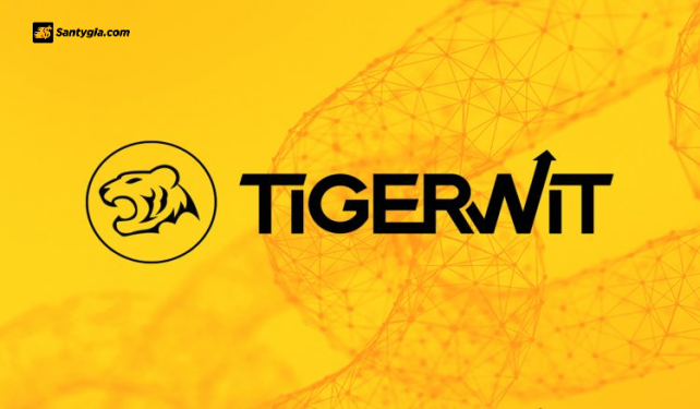 Sàn TigerWit ngừng hoạt động: Nguyên nhân và cảnh báo cho nhà đầu tư