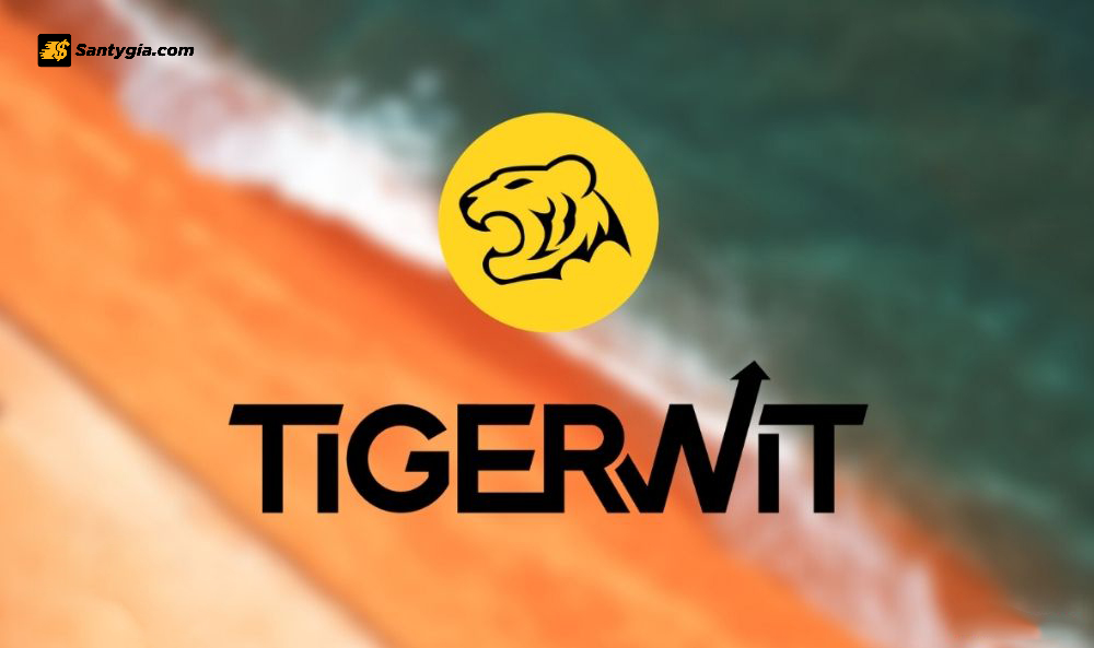 TigerWit co phai san hop phap khong