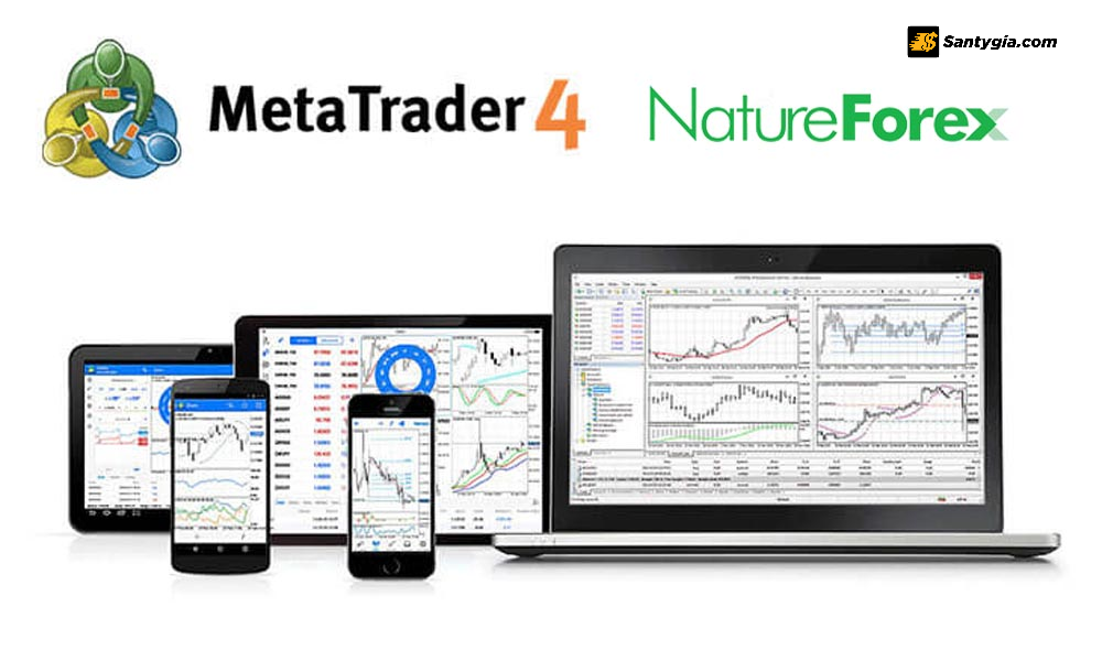 Danh gia san NatureForex qua nen tang