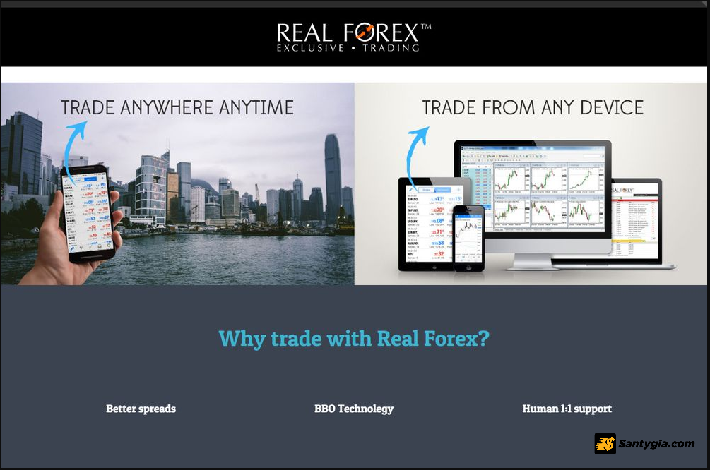 San Real Forex la gi