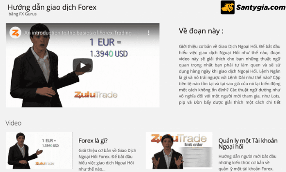 Các chương trình đào tạo Zulutrade