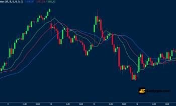 Chỉ báo Alligator là gì? Cách sử dụng hiệu quả trong giao dịch Forex
