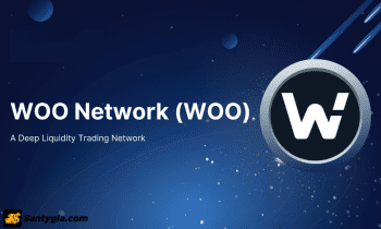 WOO Token là gì? Có nên đầu tư vào đồng WOO Token hay không?