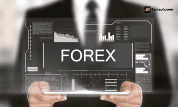 Sàn Forex cho người mới: Các tiêu chí cần biết để đầu tư an toàn