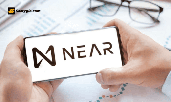 Near Protocol là gì? Toàn tập về nền tảng blockchain Near