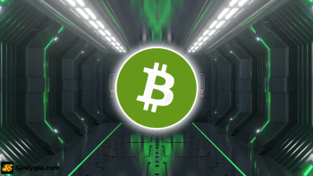 Bitcoin Cash là gì? Có nên đầu tư vào đồng BCH hay không?