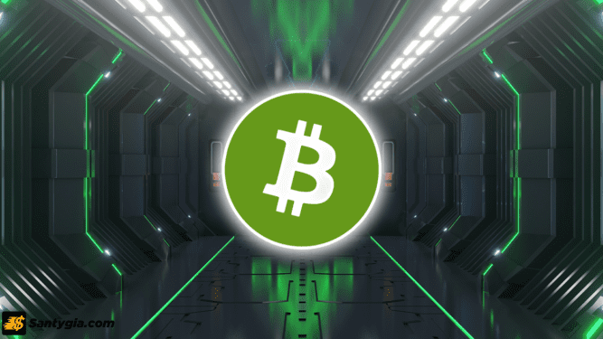 Bitcoin Cash là gì? Có nên đầu tư vào đồng BCH hay không?