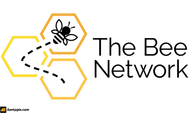 Bee Network là gì? Có nên đầu tư vào dự án Bee Network hay không?