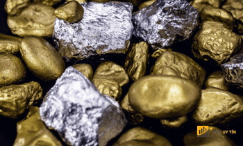 Chứng khoán kết thúc 2023 với chuỗi chiến thắng lịch sử