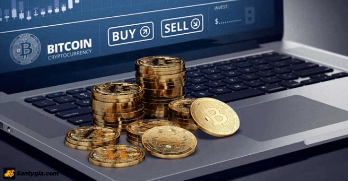 Phân loại Altcoin trên thị trường Crypto