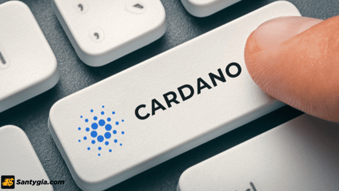ADA coin là gì? Có nên đầu tư vào đồng ADA Coin hay không?
