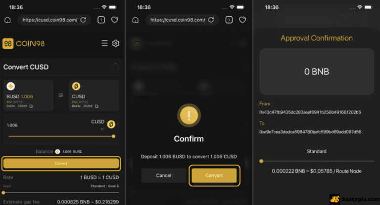 Nhập số lượng tài sản muốn quy đổi trên Coin98 Dollar