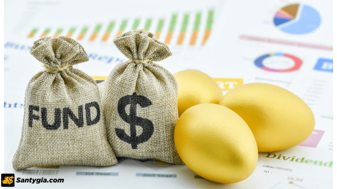 Quỹ mở là gì? Liệu trader có nên đầu tư vào các loại quỹ mở hay không?