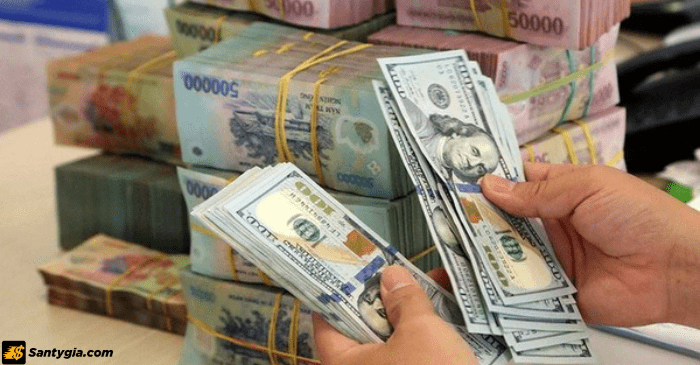4 nguyên tắc để tính được trạng thái ngoại hối trên thị trường