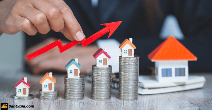 Ngoại hối BO là gì? Thị trường bo là gì?