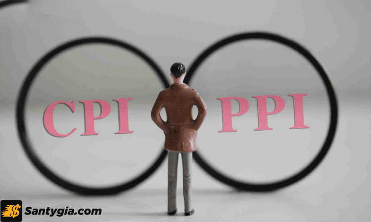 PPI và CPI khác nhau chỗ nào?
