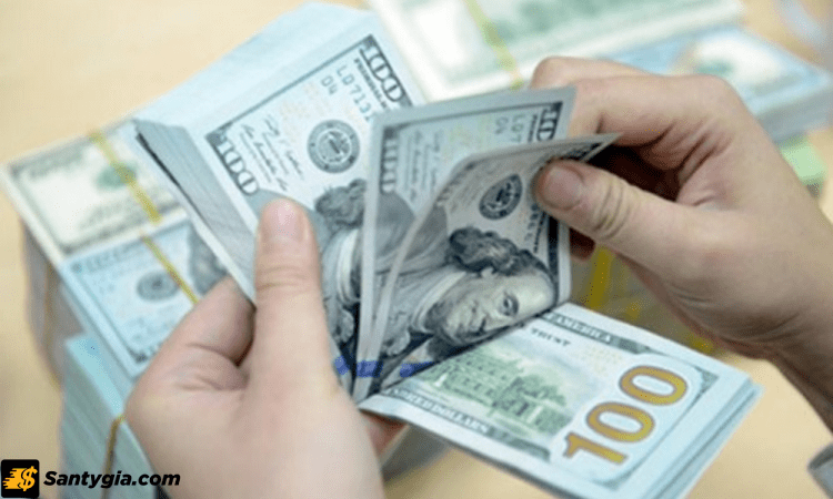 Trader nên thực hiện đa dạng hóa danh mục đầu tư để tối ưu nguồn lợi nhuận