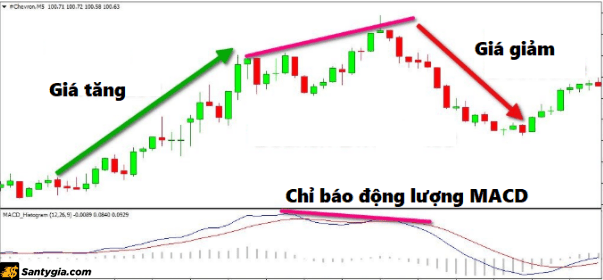 Xác định đỉnh, đáy dựa trên các công cụ chỉ báo động lượng