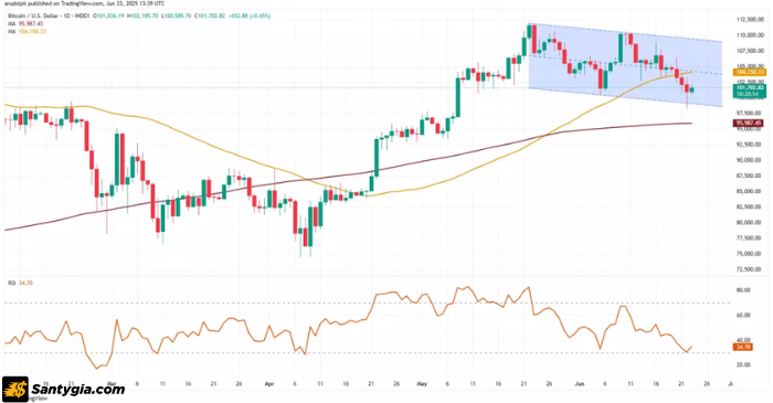 Biểu đồ nến hàng ngày của Bitcoin