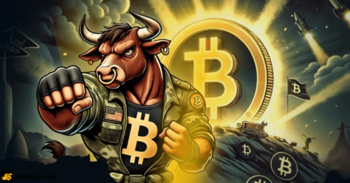 Bitcoin Bull Token (BTCBULL)