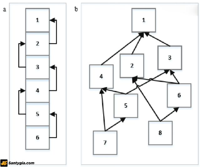 Cấu trúc khối của Directed Acyclic Graph