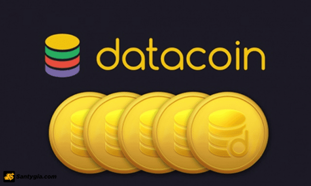 Data Coin là gì?