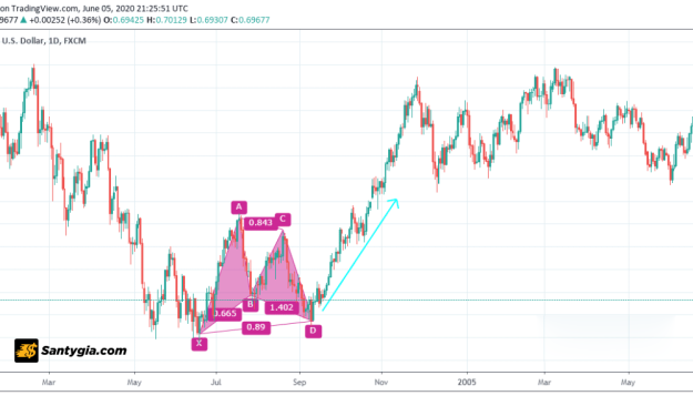 Mô hình con dơi là gì? Cách nhận diện và ứng dụng Bat pattern trong giao dịch