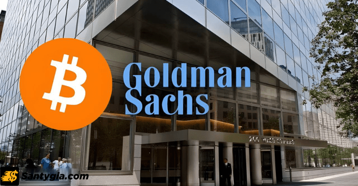 Ngân hàng Goldman Sachs hoạt động trong lĩnh vực nào?