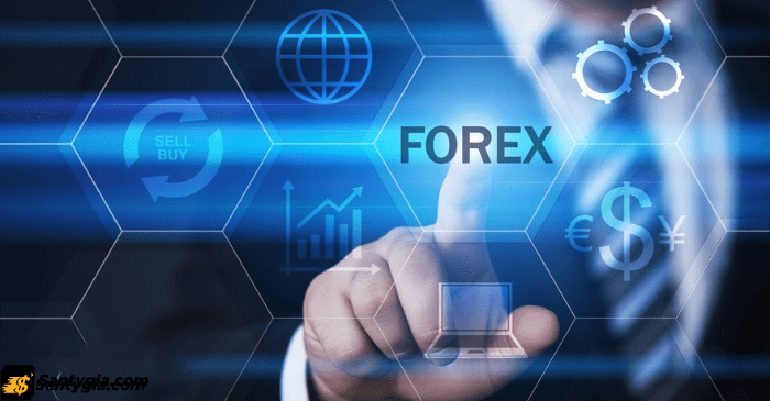 Sàn Forex là gì?
