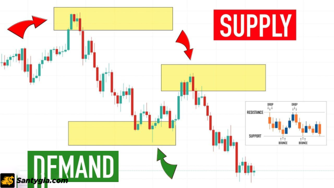 Supply Demand Zone là gì? Ý nghĩa và cách giao dịch với Supply Demand Zone trong Forex