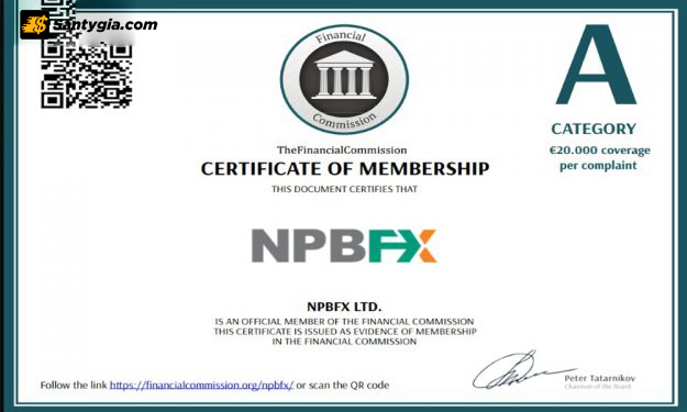 Tổng quan về NPBFX và các pháp lý liên quan