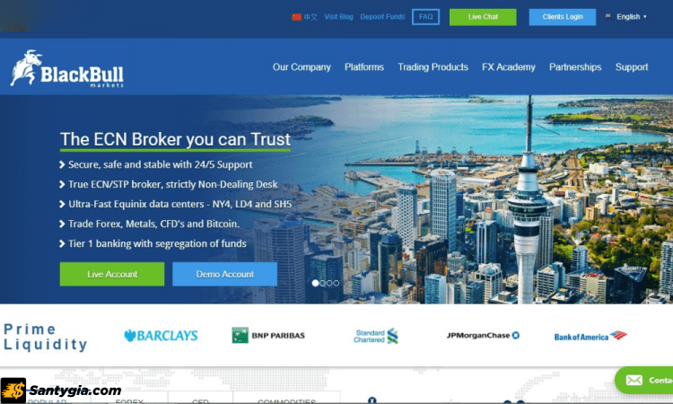 BlackBull Markets Review