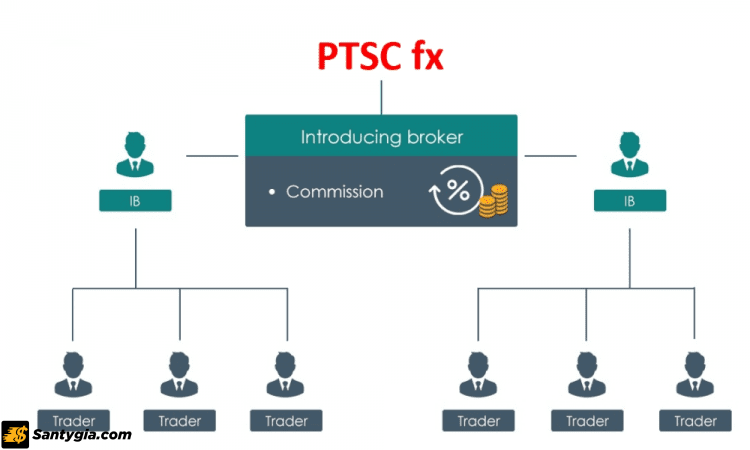 PTSCfx xây dựng đội ngũ IB để thu hút khách hàng