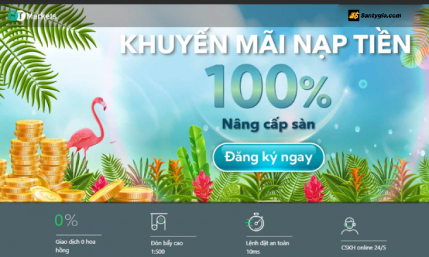 Sàn FT Markets có uy tín không? Cảnh báo mới nhất năm 2025